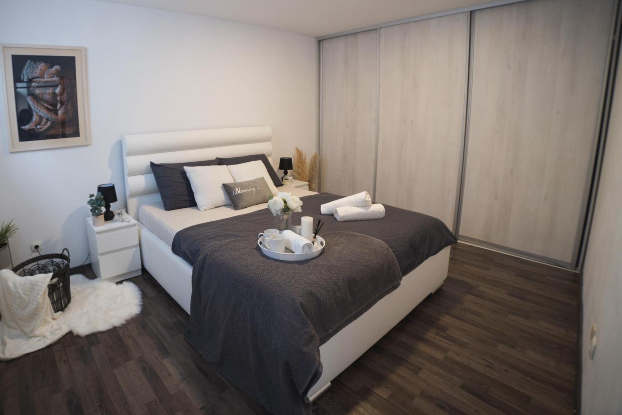 Apartments Dijana Ζάγκρεμπ Εξωτερικό φωτογραφία